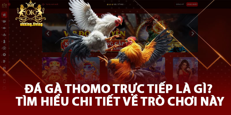 Đá Gà Thomo Trực Tiếp Là Gì? Tìm Hiểu Chi Tiết Về Trò Chơi Này