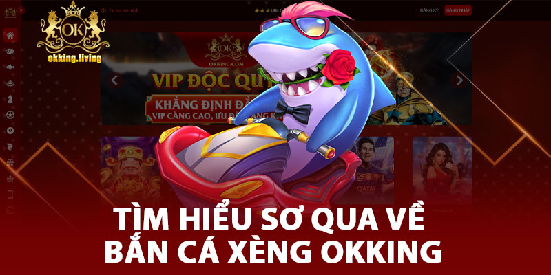 Tìm Hiểu Sơ Qua Về Bắn Cá Xèng OKKING